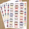 81 Kaleidoscope Oval Poly Waterproof Essential Oil Bottle Labels Plus 81 Round Cap Stickers by Rivertree Life