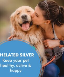 PetSilver Wound & Skin Spray with Chelated Silver, Allergy Relief for Dogs Itching, Hot Spot Treatment for Dogs, Cat and Dog Wound Care, All Natural Skin Soother for Dogs, Made in USA, 8 fl oz 8 oz 12 81SFhFG0rXL