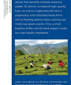 Traditional Medicinals Tea, Organic Nighty Night, Relax & Get a Good Night's Sleep, 96 Tea Bags (6 Pack) Passion flower 16 Count (Pack of 6) 10 81SGpLQDctL