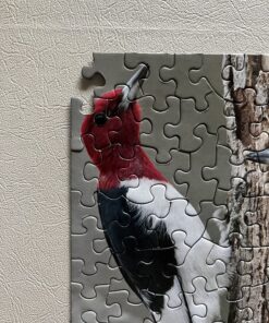 Springbok Birds of a Feather 500 piece Jigsaw Puzzle for Adults features a photo collage of colorful American birds 14 81SIxshg9FL