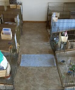 MidWest Homes for Pets Foldable Metal Dog Exercise Pen / Pet Playpen, Gold zinc w/ door, 24'W x 30'H, 1-Year Manufacturer's Warranty 30" H 53 81SRgH2oxL