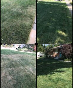 LawnLift 64 ounce Grass Paint factory 2nd with cosmetic blemishes on bottle, seal and label. May include dried paint or other unsightly blemishes on exterior of bottle. 32 81SdPiNN4L