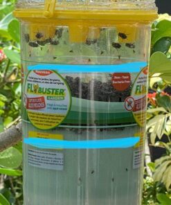 Flybuster Fly Trap - Outdoor Living, Fly Trap, Pest Control Trap for Garden 28 81SfAH22vKL