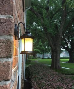 Westinghouse Lighting 6230600 New Haven One-Light Exterior Wall Lantern on Steel with Clear Seeded Glass, Black,Oil Rubbed Bronze Finish, (1 Pack) 33 81SmHMjx8IL