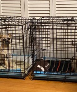 Paws & Pals Dog Crate, 24" Pet Cage, Wire Metal Kennel, with Tray, Foldable & Portable, Durable Steel Wire, Easy Setup, Ideal for Puppies & Kittens, Black 24.0"L x 16.0"W x 20.0"H 43 81SmfodMalL