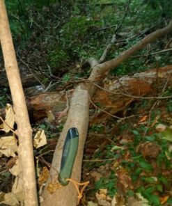 Bahco 396-LAP Laplander Folding Saw, 7-1/2 -Inch Blade, 7 TPI 43 81SncAD EAL