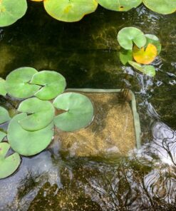 Eagrye 4-Pack Bus Tubs, Commercial Tote Box, Plastic Bus Box (13 L Capacity), Grey 13 L 20 81Snxi4 L