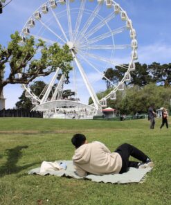 Canon EOS Rebel T7 DSLR Camera with 18-55mm Lens | Built-in Wi-Fi | 24.1 MP CMOS Sensor | DIGIC 4+ Image Processor and Full HD Videos 48 81Svk9M2gL