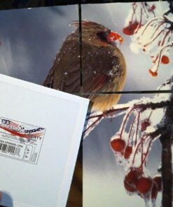 US Art Supply 8 X 8 inch Professional Artist Quality Acid Free Canvas Panel Boards for Painting 12-Pack (1 Full Case of 12 Single Canvas Board Panels) 8" x 8" 37 81SyV5dUuLL