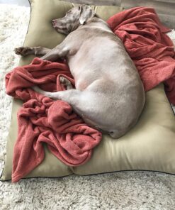 Majestic Pet Rectangle Large Dog Bed Washable – Non Slip Comfy Pet Bed – Dog Crate Bed Super Value Pillow Dog Bed – Dog Kennel Bed for Sleeping - Dog Bed Large Breed 46 x 35 Inch – Solid Khaki 46.0"L x 35.0"W x 7.0"Th 39 81SzSyj1VWL