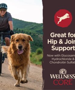 Wellness CORE Healthy Joints Crunchy Dog Treats (Previously Marrow Roasts), Natural Grain-Free Treats, Made with Real Meat, No Artificial Flavors (Beef, 8-Ounce Bag) 36 81SzjOMZ89L
