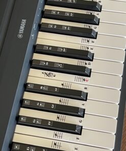 Piano and Keyboard Music Note Full Set Stickers for White and Black Keys; Transparent and Removable; Made in USA 37 81T0KEJ4sgL