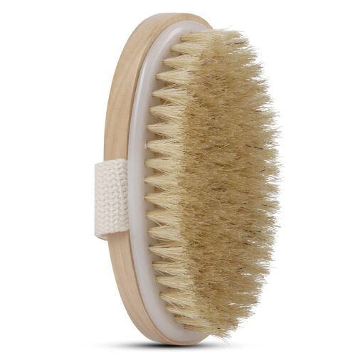 Dry Skin Body Brush - Improves Skin's Health and Beauty - Natural Bristle - Remove Dead Skin and Toxins, Cellulite Treatment, Improves Lymphatic Functions, Exfoliates, Stimulates Blood Circulation Standard Strap