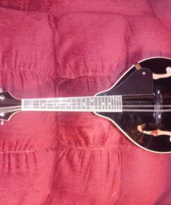 Rogue RM-100A A-Style Mandolin Black 23 81T5f0dzRL