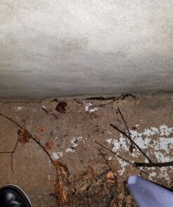 Rubberseal Liquid Rubber Waterproofing and Protective Coating - Roll On (1 Gallons) 1 Gallon 25 81T8mr4GIEL