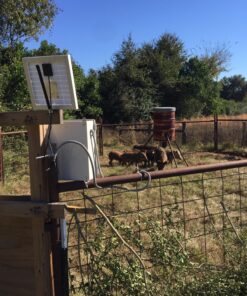 ACOPOWER HY010-12M 10 Watt 10W Mono Solar Panel for 12V Battery Charging RV Boat, Off Grid 45 81T9qZK805L