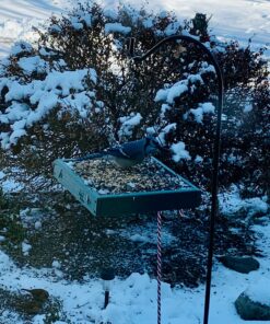 Woodlink Going Green Platform Bird Feeder Model GGPLAT 40 81TFdNyuqFL