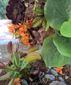 Top Collection Mini Shakyamuni Buddha Decorative Statue - Hand Painted Enlightened One Sculpture with Bronze Finish Look- 3-Inch Supreme Buddha Collectible Figurine 36 81TGaVy0EL