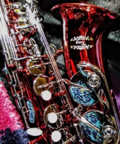 Glory Red/Silver keys E Flat Alto Saxophone with 11reeds,8 Pads cushions,case,carekit 24 81TIDhD0pwL