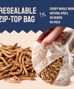 Hatortempt 10lbs Bulk Dried Mealworms - Premium Non-GMO Organic Chicken Feed, Nutritious High Protein Meal Worms- Food and Treats for Laying Hens, Wild Birds, Ducks, Reptiles, Fish, Hedgehogs, Turtles 10 Pound (Pack of 1) 22 81TJOF3CbgL