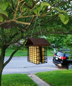 More Birds Double Suet Cage Bird Feeder with Metal Roof, Fruit and Suet Feeder, 2 Suet Cake Capacity Brown Double Cage 36 81TJn3V3izL