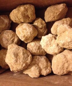 Break Your Own Geodes - Set of 12 - STEM Toy and Classroom Learning 31 81TK1MmNb1L