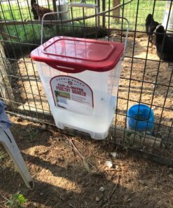Harris Farms 1000310 Cup-A-Water, 4 Gallon Poultry Drinker, RED 15 81TMB80FbfL