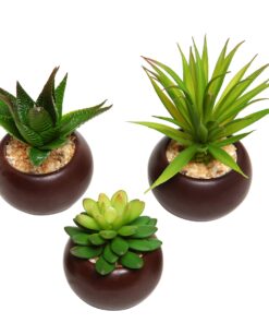 Alternative view of MyGift Miniature Artificial Succulents, Fake Indoor House Plants in Round Brown Ceramic Pots, Set of 3