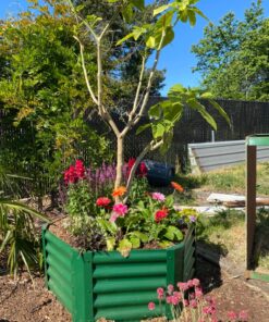 Sunnydaze 40-Inch Hexagon Galvanized Steel Raised Garden Bed Kit - Outdoor Metal Planter for Plants and Vegetables - Silver 37 81TRekVcniL