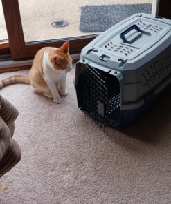 Amazon Basics - 2-Door Top-Load Hard-Sided Dogs, Cats Pet Travel Carrier, Gray & Blue, 22.8"L x 15.0"W x 13.0"H Two-Door Top-Load 84 81TV2fI4V7L