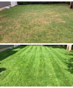 Scotts Turf Builder Grass Seed Fall Overseeding Mix, Thickens & Strengthen to Help Prevent Future Weeds, 15 lbs. 15 lb. 38 81TXOX18GSL