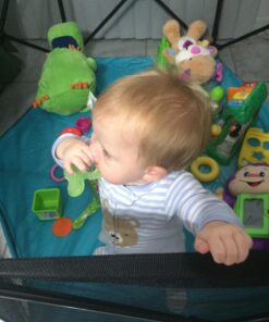 Nuby Silicone Teethe-eez Teether with Bristles, Includes Hygienic Case, Green 24 81TXTesLIyL