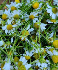 Still Spirits B00BWUJKHG Turbo Air Still, 4 liters, Multicolor 15 81TZADRj9L