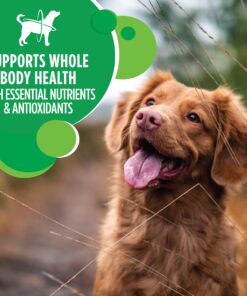 IAMS Adult Minichunks Small Kibble High Protein Dry Dog Food with Real Chicken, 30 lb. Bag,(Packaging may vary) 0 30 Pound (Pack of 1) 28 81TZAK KouL