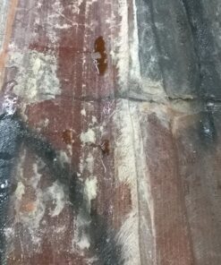 FoamPRO 219 Foam Paint Roller, 9" x 1/8" Twin Pack 9 x 1/8 Inch (Pack of 2) 10 81TZTqd2GL