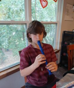 Mr.Power Soprano Recorder German Style C Key 8 Holes Easy Instrument for Beginners School Student Home Entertainment (Blue) Plastic, 3-piece detachable Blue 19 81TbTE3cOL