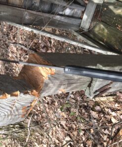 Schrade Leroy Fixed Blade with High Carbon Stainless Steel Bowie Blade for Outdoor Activities 38 81TbdV5VzPL