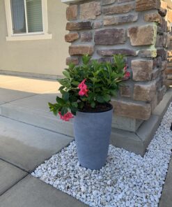 LA JOLIE MUSE Set of 2 Tall Planters with Trays, 20 Inch Indoor/Outdoor Tall Planters,Large Grey Flower Pots,Tree Planters for Front Door,Patio and Deck 2 Pack - 20" Gray 42 81TeTAgIEKL