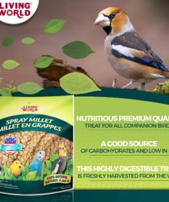 Alternative view of Living World - Spray Millet, 17.6 Oz – Premium Treat for Budgies, Canaries, Finches, Cockatiels and Other Pet Birds 1.1 Pound (Pack of 1)