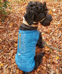 Kurgo Loft Dog Jacket, Reversible Dog Coat, Wear with Harness or Sweater, Water Resistant, Reflective, Winter Coat For Large Dogs (Coastal Blue, L) Coastal Blue/Orange 43 81Tk 8MjdCL