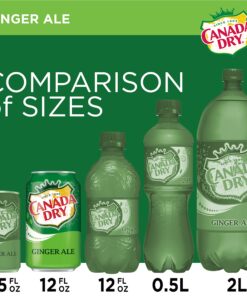 Canada Dry Ginger Ale Soda, 12 fl oz cans (Pack of 12) 26 81TkRMOVYTS