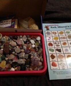 DANCING BEAR Rock, Mineral & Geodes Treasure Hunt Activity Kit (200 Pc Set) Real Shark Teeth Fossils, ID Sheet & Rock Book, STEM Rock, Mineral & Geodes Collection 63 81TneUC4YL