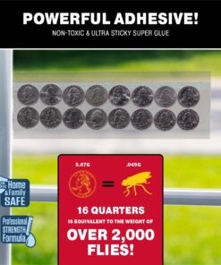 Window Fly Traps by Catchmaster - 12 Count, Ready to Use Indoors. Insect, Bugs, Fly & Fruit Fly Glue Adhesive Sticky Paper - Waterproof Easy Application Ready Disposable Non-Toxic 12 Traps 18 81Tnq 4Zw4L 2