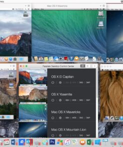 Parallels Software Paralells Desktop 11 PRO Mac Key Card Professional Edition 16 81Top0j8h2L