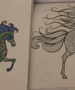 Adult Coloring Book: Stress Relieving Animal Designs 47 81TpQTOTs6L