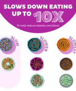 Alternative view of Outward Hound Fun Feeder Slo Bowl, Slow Feeder Dog Bowl, Medium/Mini, Purple