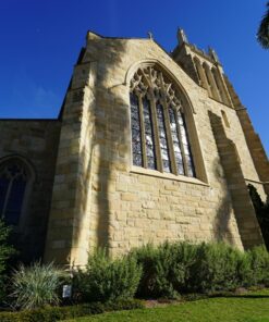 Rokinon 14mm F2.8 Full Frame Auto Focus Lens for Sony E-Mount, Black (IO14AF-E) 40 81TtO3uuvSL