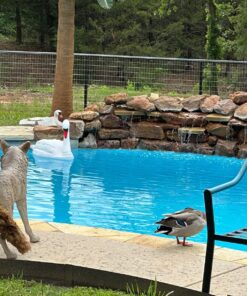 Flambeau Outdoors 5985MS-1 Lone Howler Coyote Decoy, One Size 37 81TwCfCZgkL