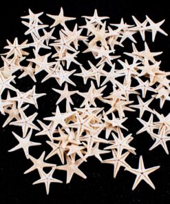 Tiny Miniature Fairy Garden Beach Critter Starfish Marine Life Collection for Arts & Crafts Projects, Decorations, Party Favors, Invitations (90 Pieces) 24 81TxmsuPxiL