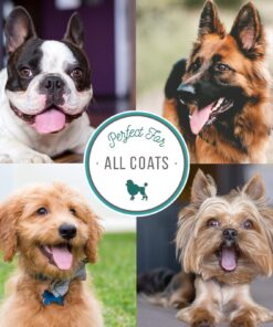 Nature's Specialties Mystic Lavender Dog Cologne for Pets, Natural Choice for Professional Groomers, Ready to Use Perfume, Made in USA, Finishing Spray, 8 oz 8 Ounce 8 81TyulLrkgL